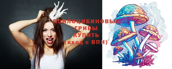 твердый Белокуриха